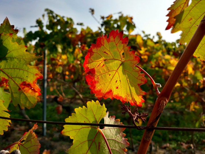 2018-10-19 15.36.43-2