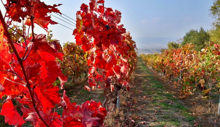 2018-10-19 15.41.52-2