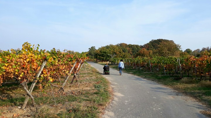 2018-10-19 15.52.52-2