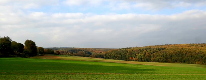 2018-10-25 15.55.59-2