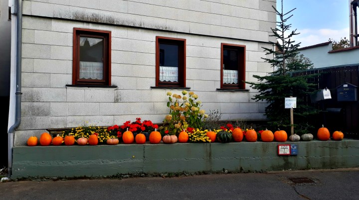 2018-10-25 16.08.18-2